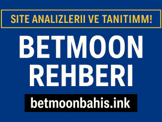 rehber site için analizler.