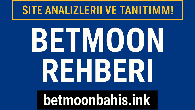 rehber site için analizler.