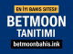 Tanıtım için analizler.